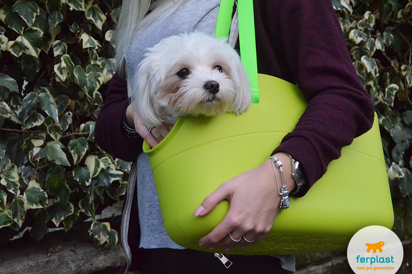 ferplast with me pet bag