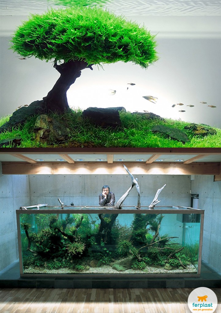 takashi_amano_acquario_zen_ferplast