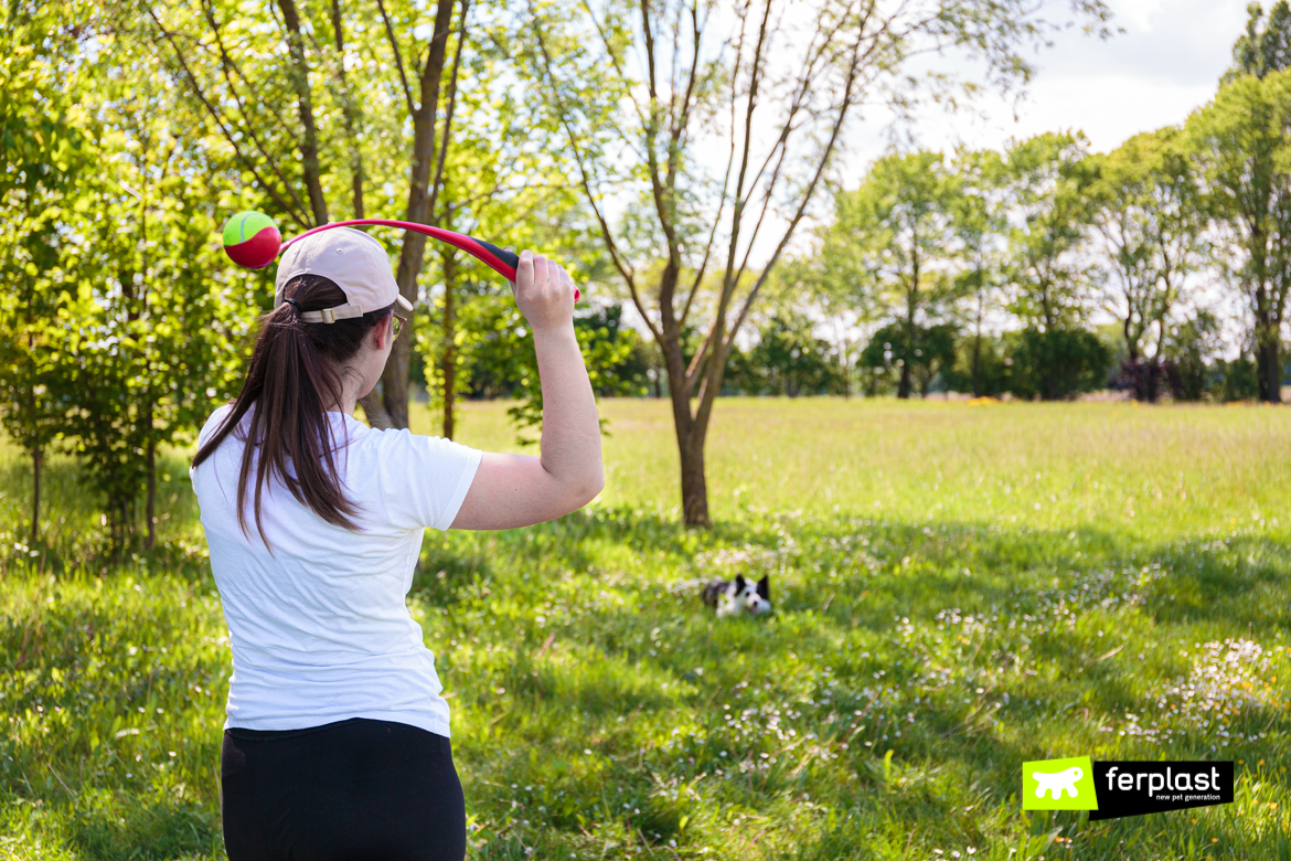 Cane gioca con gioco lancia palla di Ferplast