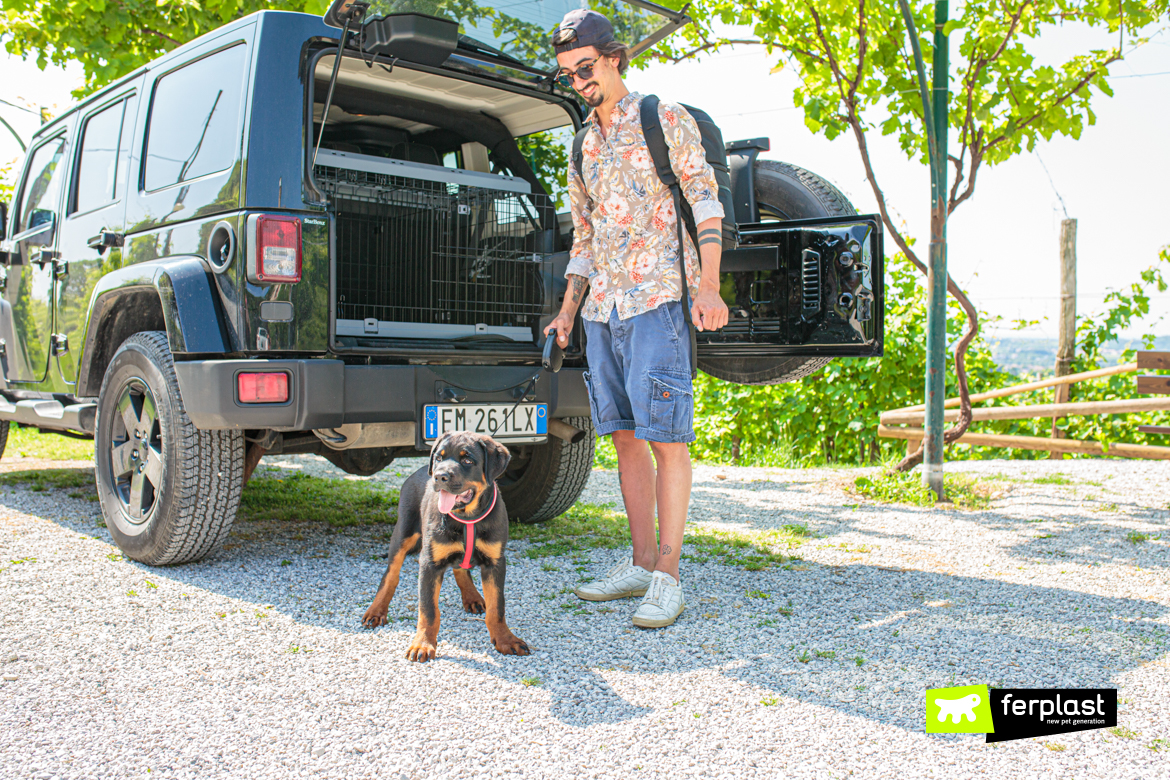 Cane e padrone davanti alla macchina con kennel per cani Superior di Ferplast