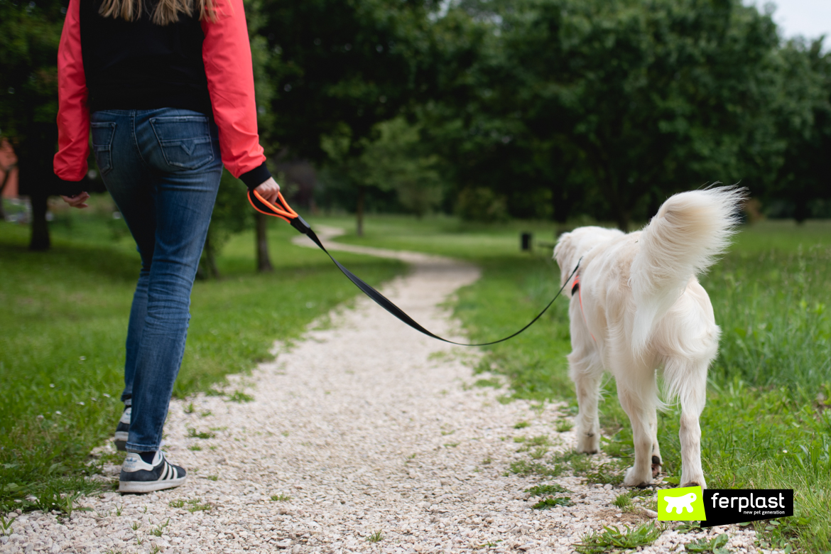 Cane e padrona a passeggio