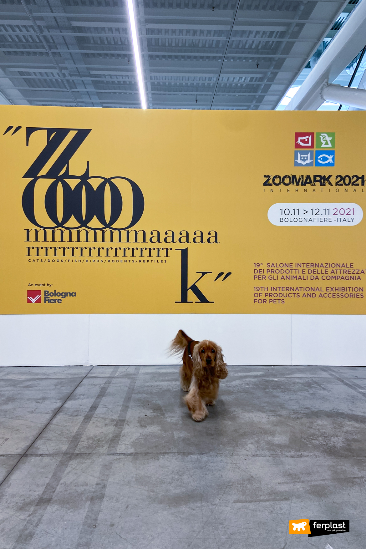 Cane in posa davanti al cartello d'ingresso di Zoomark 2021