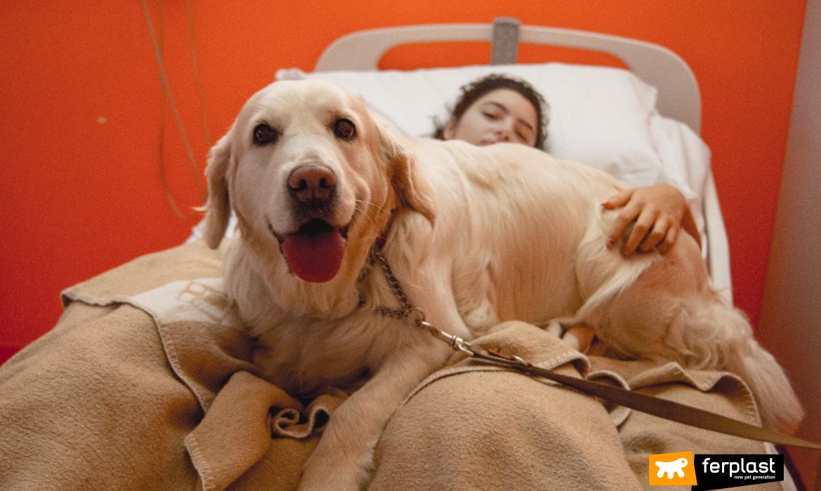 Cane in ospedale per la pet therapy