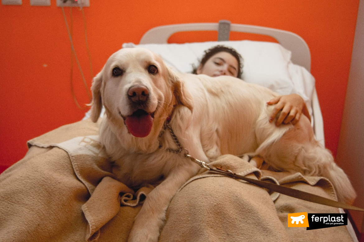 Cane in ospedale per la pet therapy