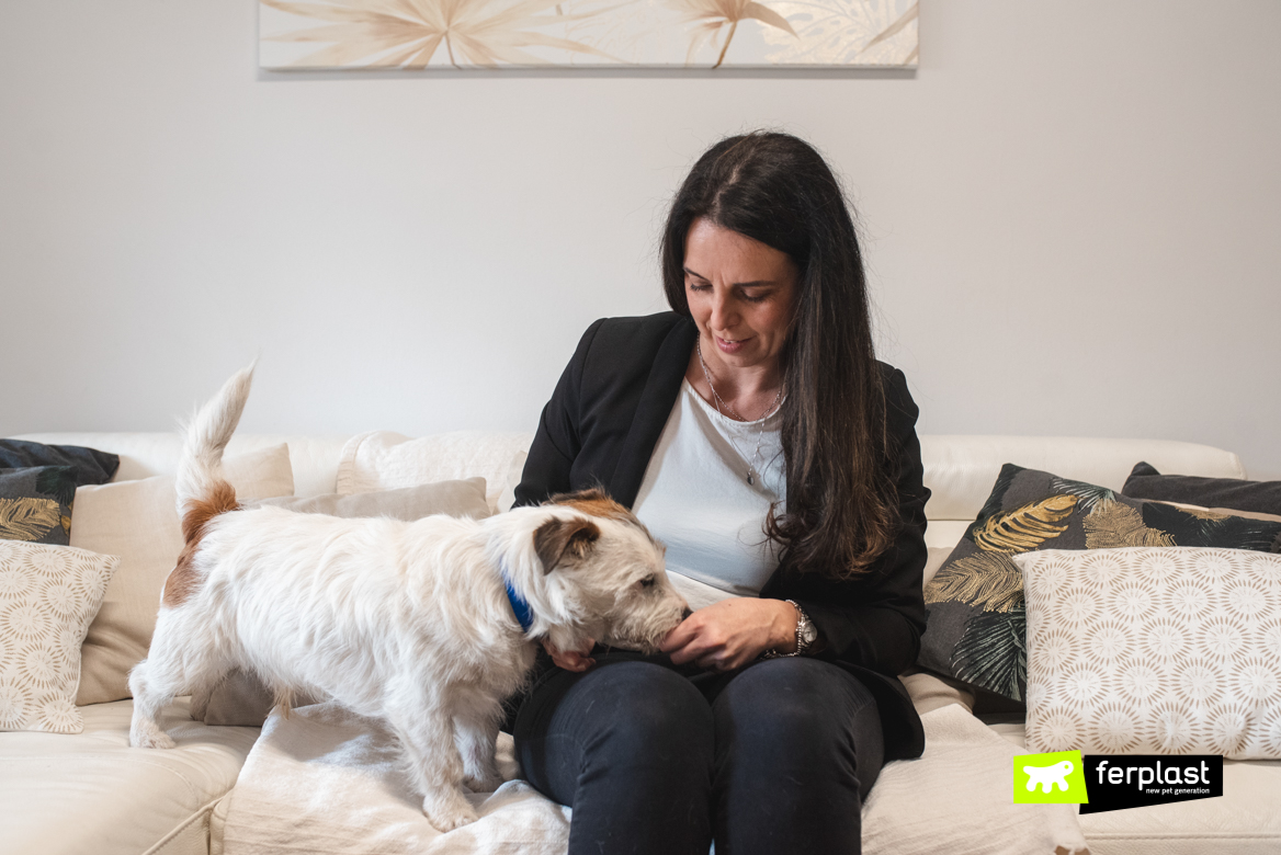 Cão em casa com dono