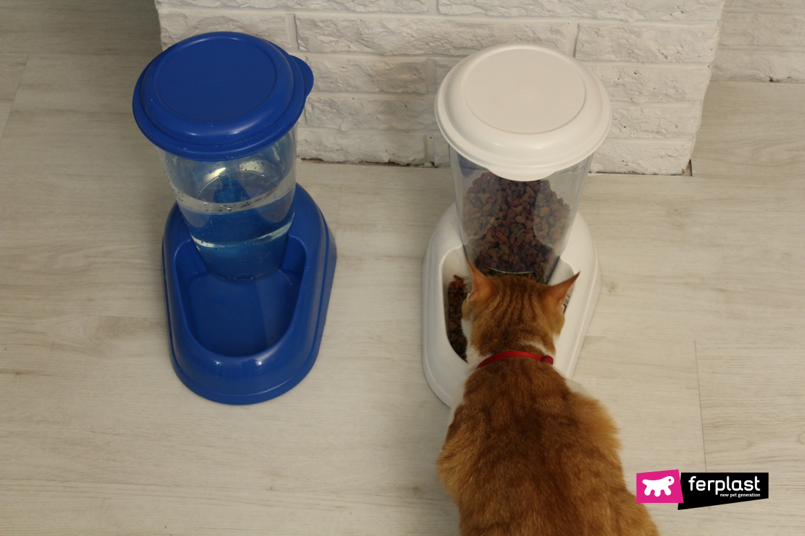 Gatto mangia e beve da dispenser di Ferplast