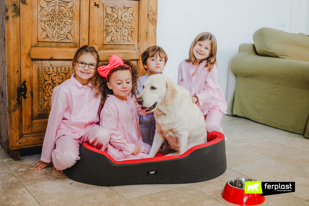 Cão doce rodeado de crianças