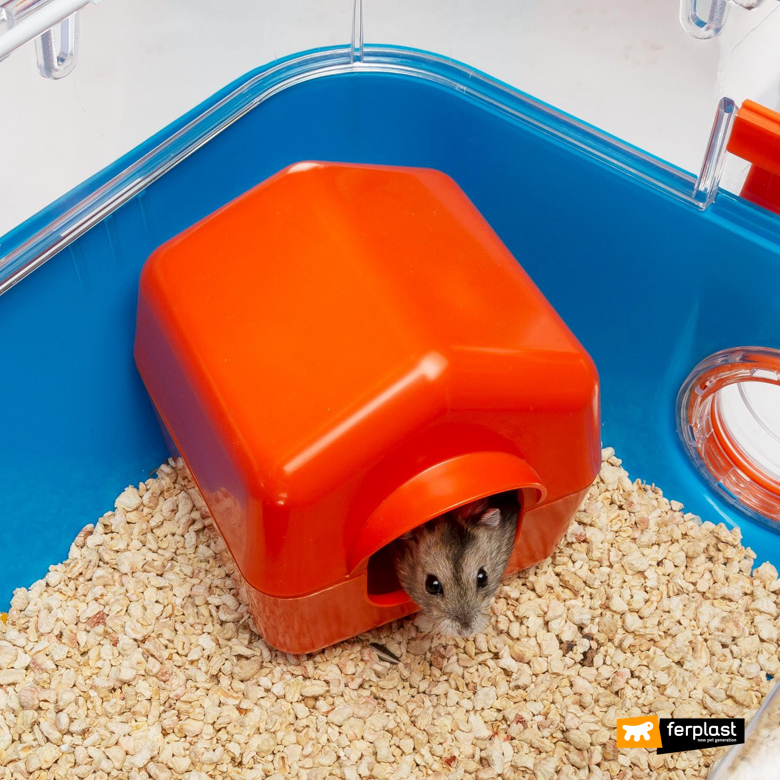 Hamster in a Ferplast cage