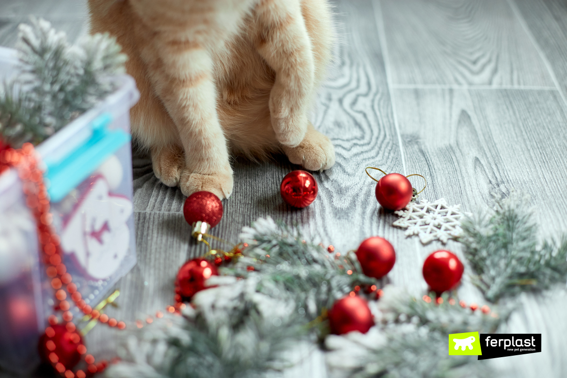 Zampe del gatto e decorazioni natalizie