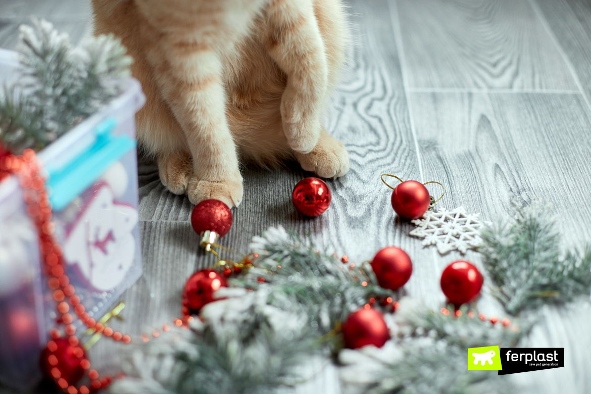 Cat's paws and christmas decorations