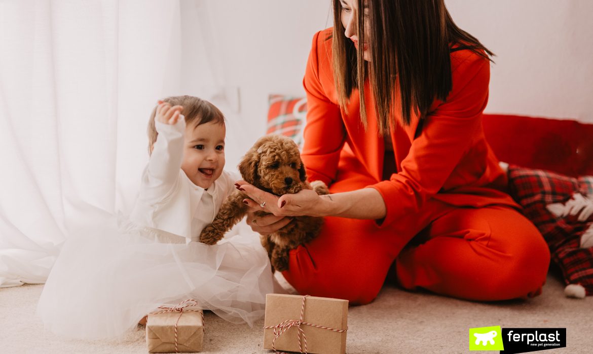 Famiglia a Natale con cane barboncino marrone cucciolo