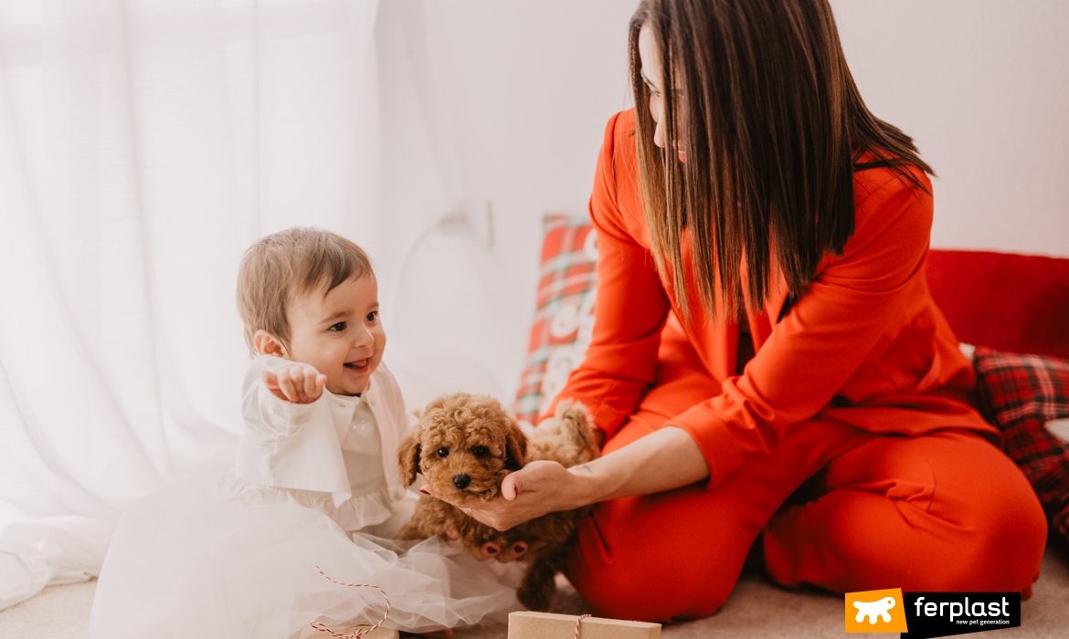 Famiglia gioca con il proprio barboncino