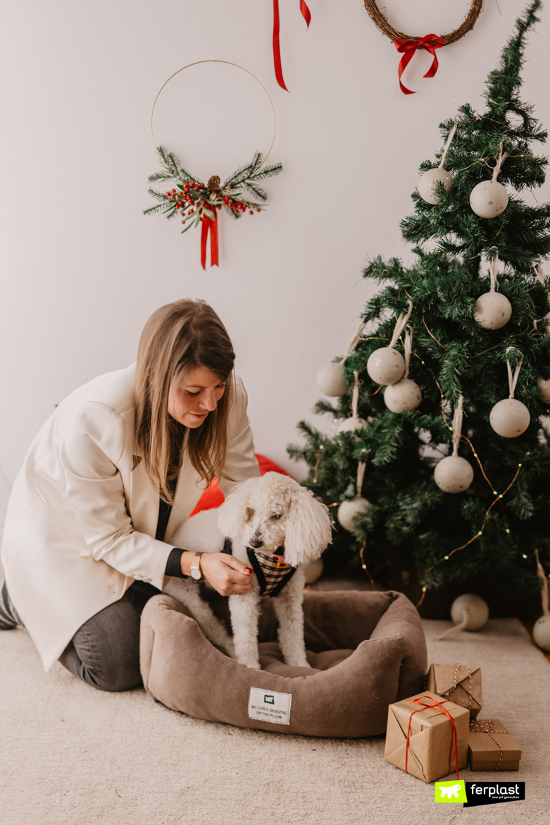 Padrona e cane barboncino bianco con pettorina e cuccia Ferplast