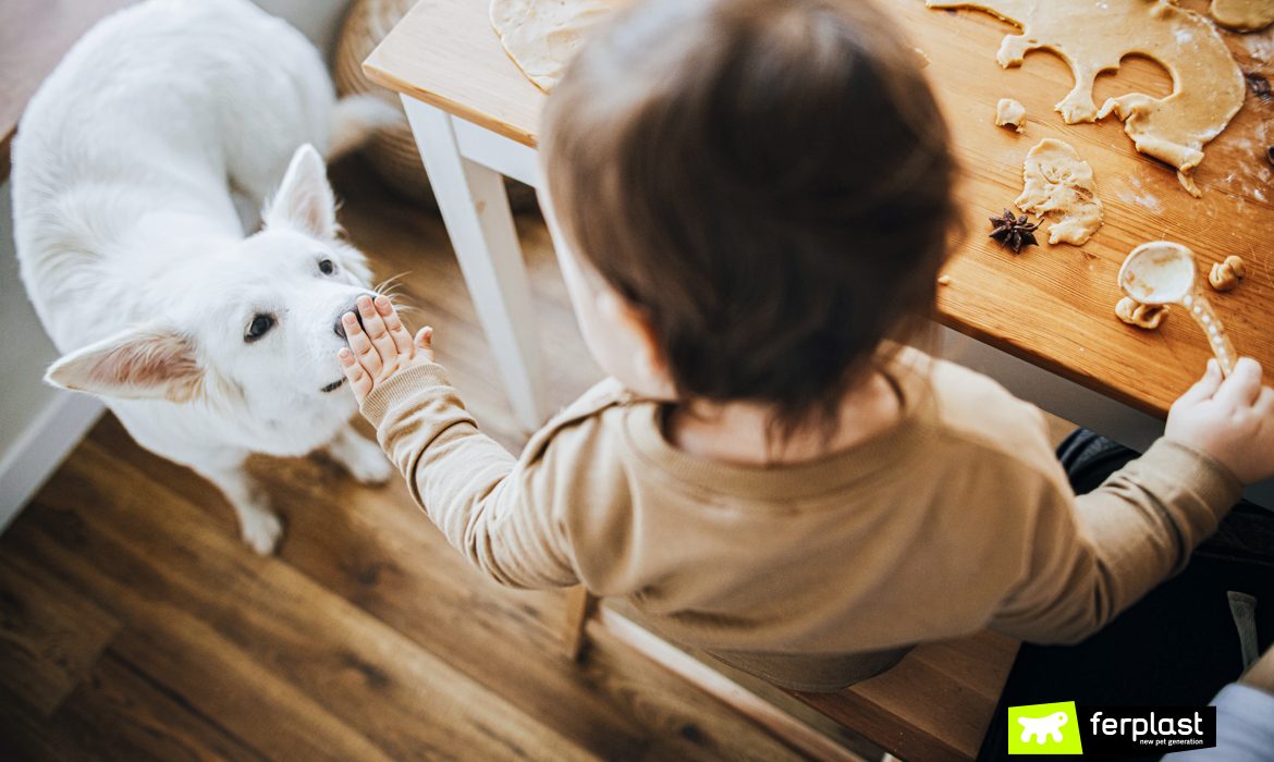 Bambino prepara i biscotti accanto al cane