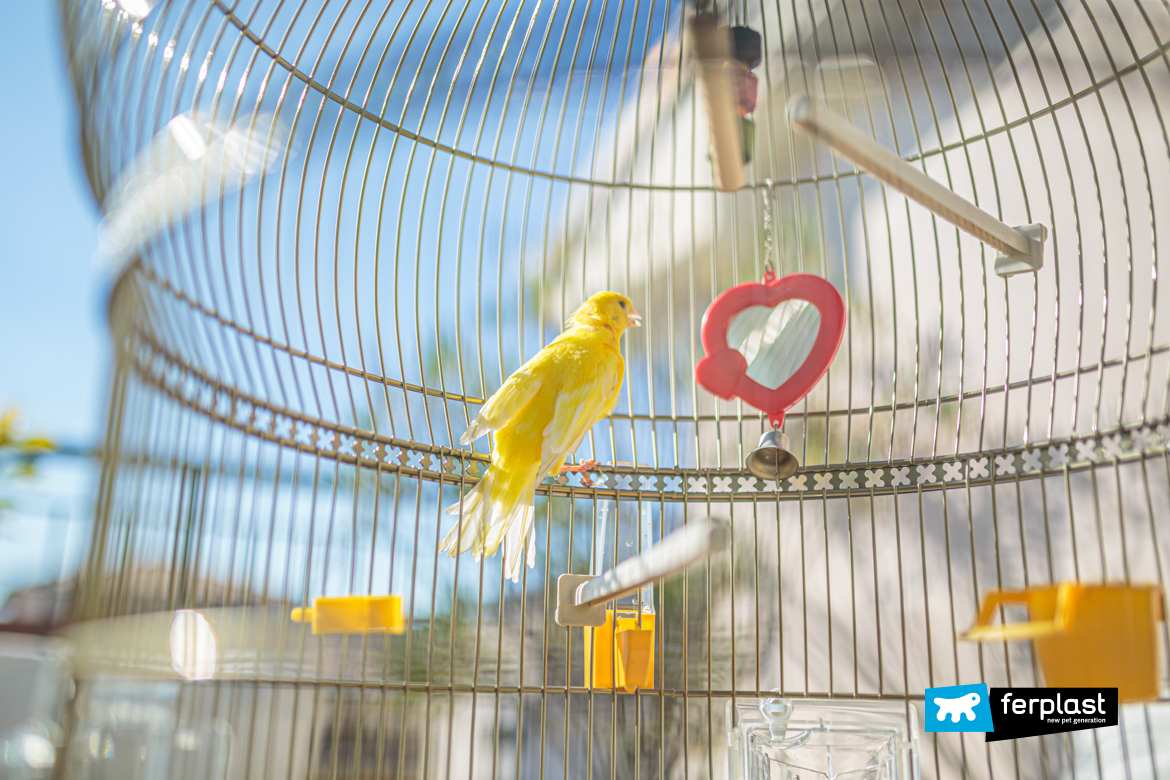 Detail of a Ferplast canary cage