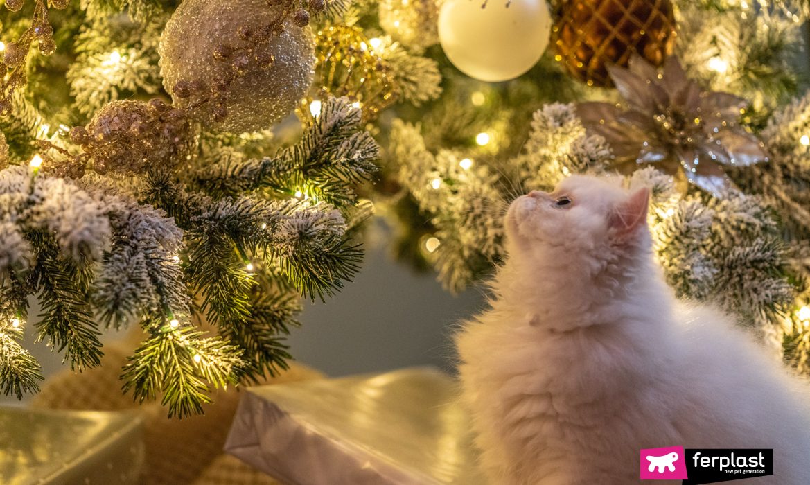 Gatto bianco guarda albero di Natale