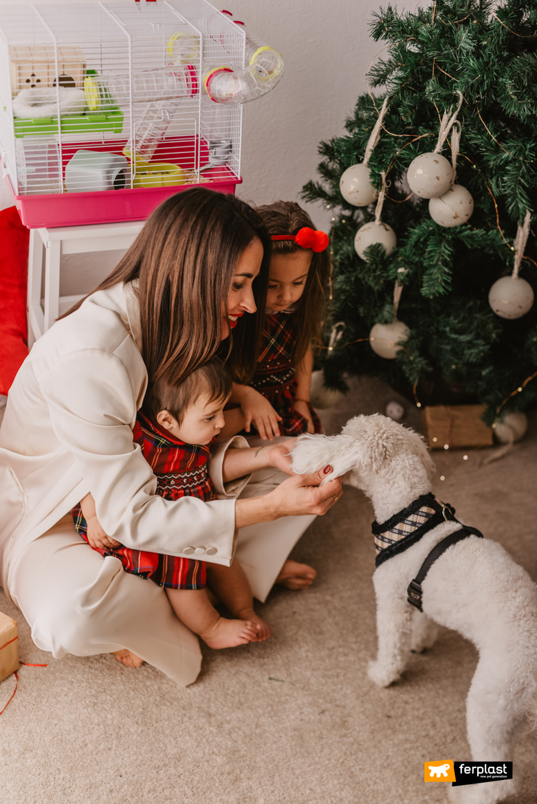 Family at Christmas with dog in Ferplast home