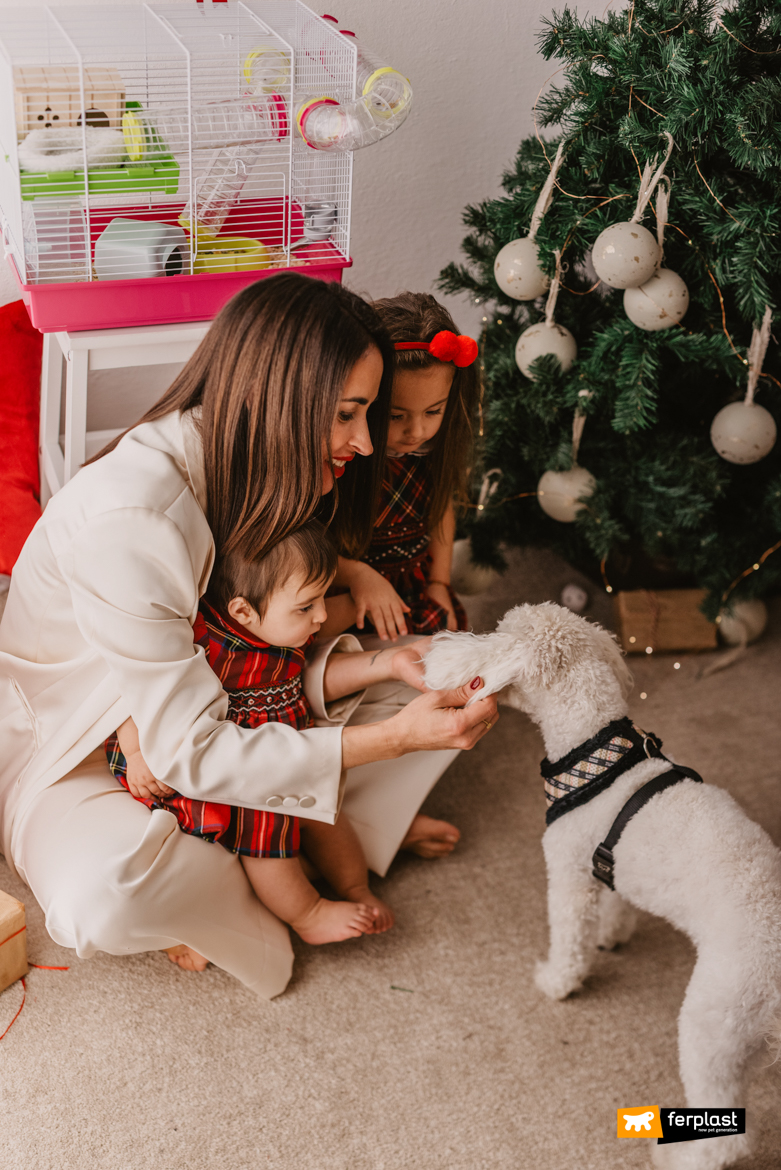 Natale in famiglia con il cane in casa Ferplast