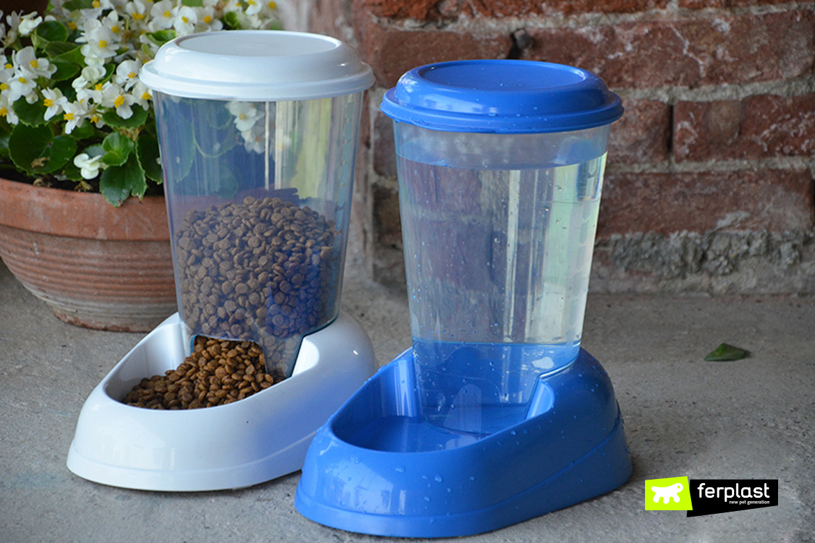 Feeding Your Dog While We Are Away: Food And Water Dispensers