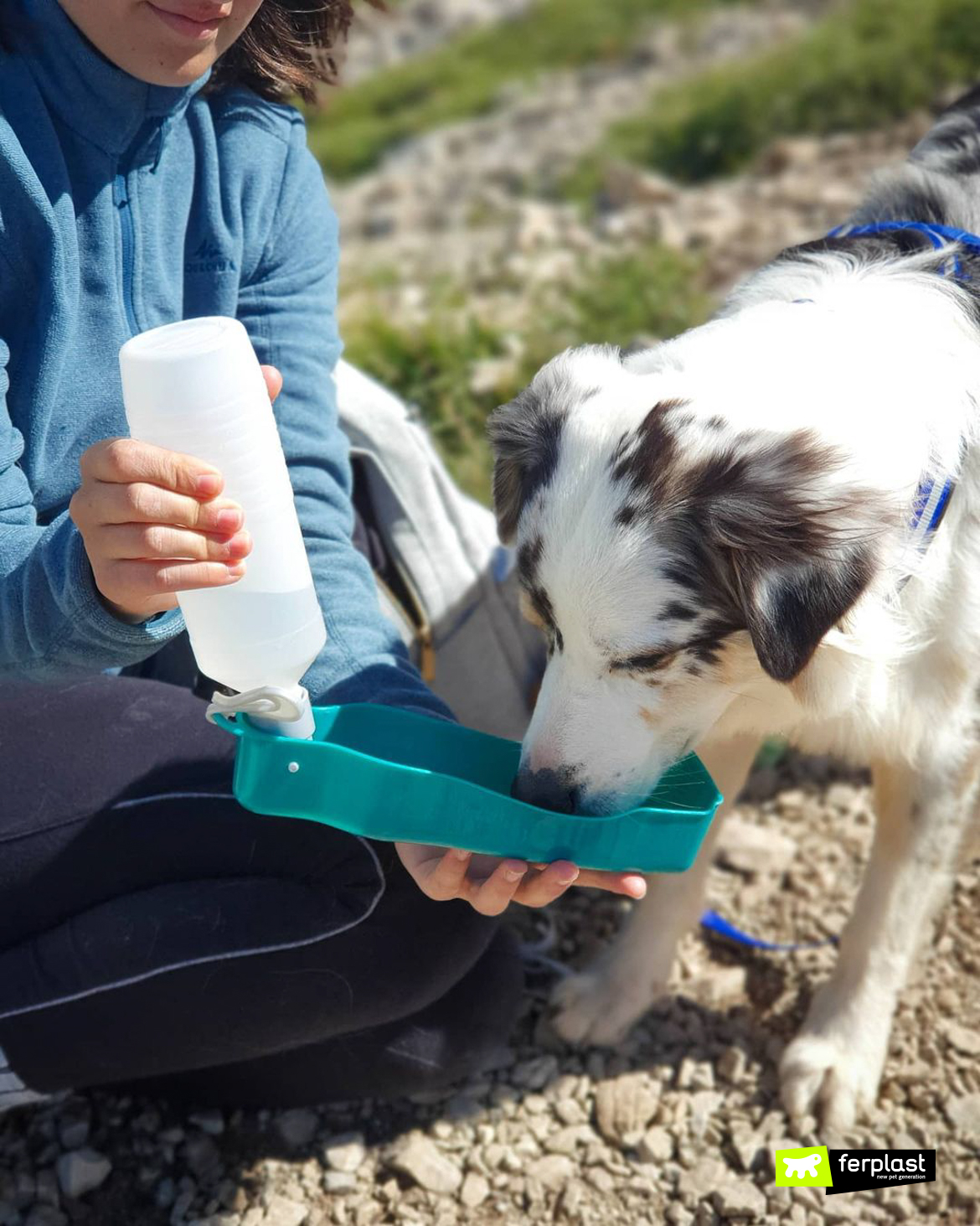 Cane beve dalla borraccia Ferplast