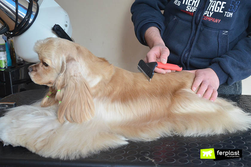 Toelettatore: stripping e trimming con le Spazzole per Cani adatte - LOVE  FERPLAST