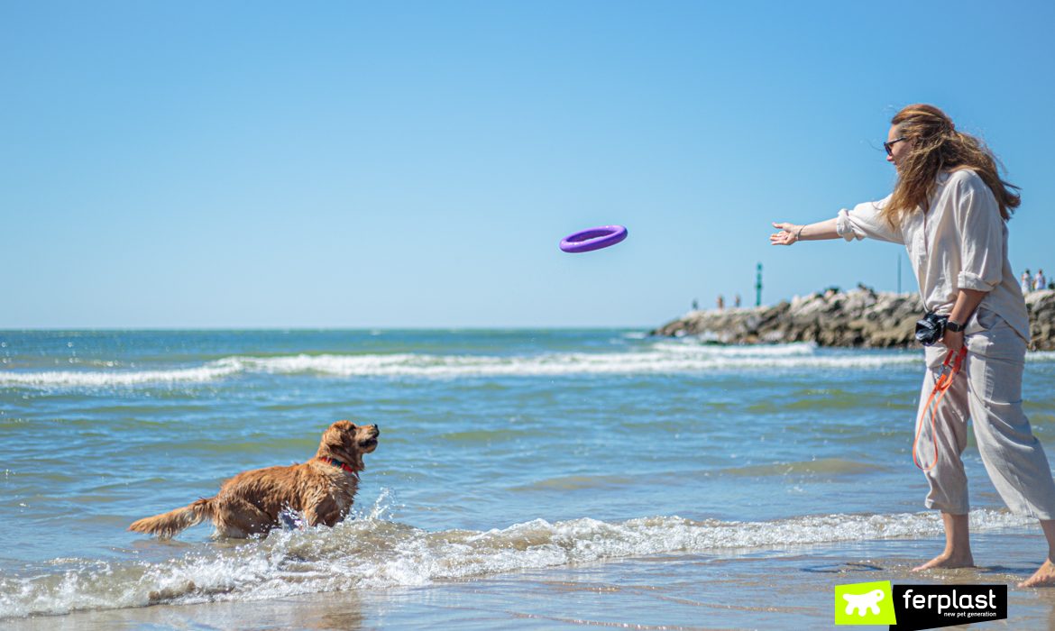 Собака в воде играет со своим хозяином с игрушками Ferplast