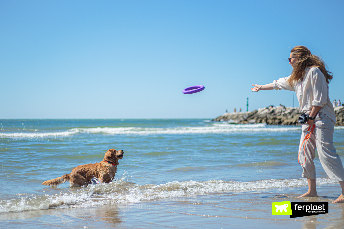 Cão na água brincando com seu dono com brinquedos Ferplast