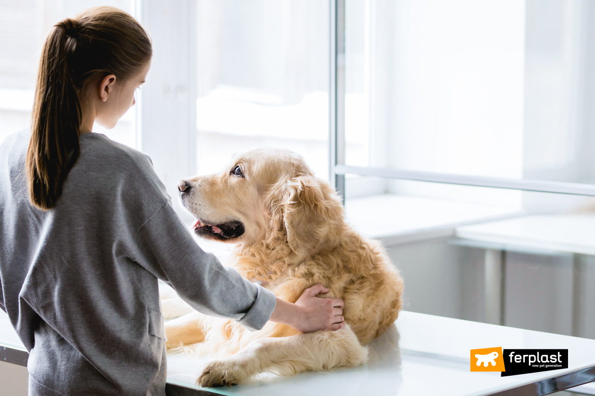 Cane e padrona dal veterinario