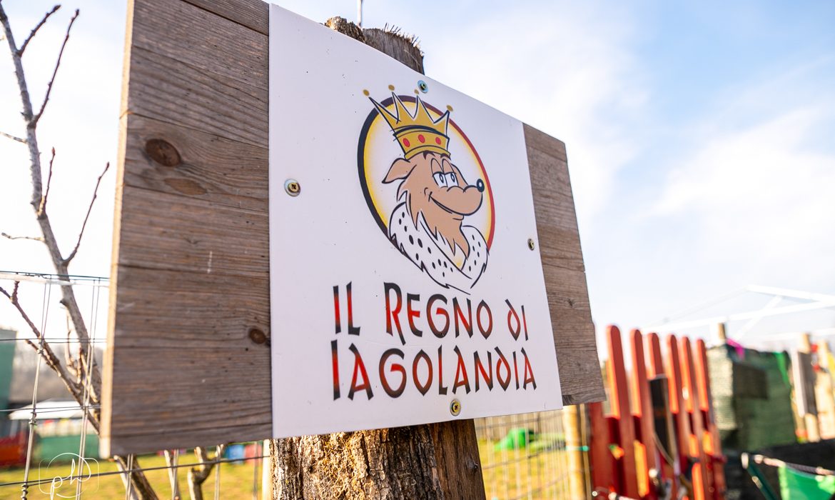 IAGOLANDIA: THE THEMED PLAYGROUND FOR DOGS ONLY