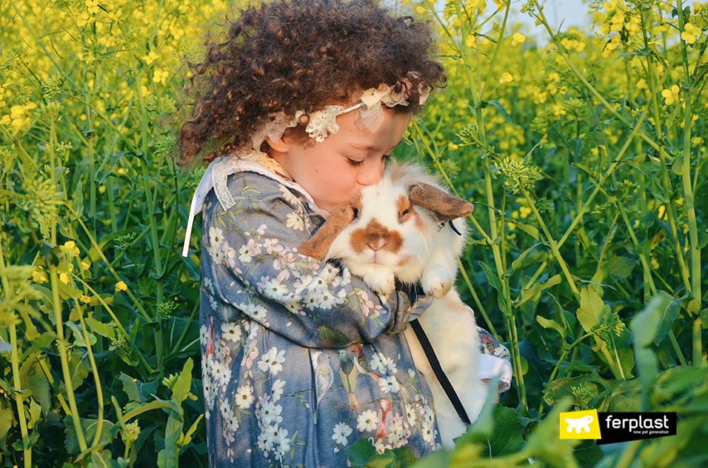 Why Does The Rabbit Always Move The Nose?