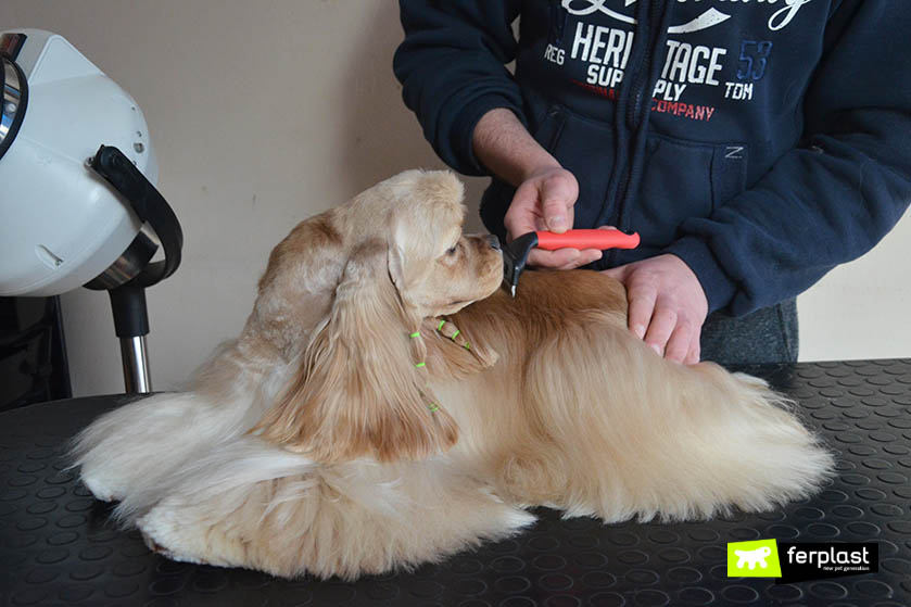 Toelettatore: stripping e trimming con le Spazzole per Cani adatte - LOVE  FERPLAST