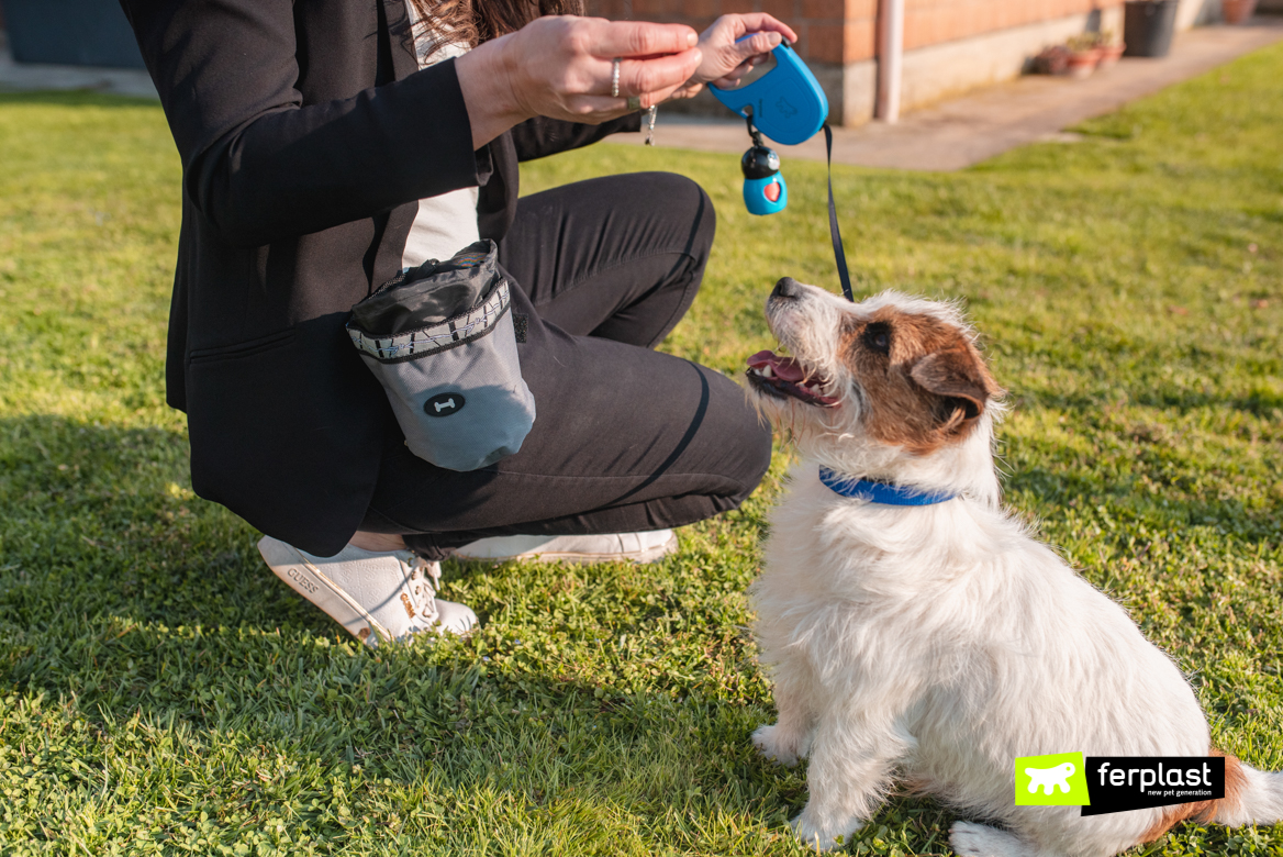 Jack Russel con articoli Ferplast