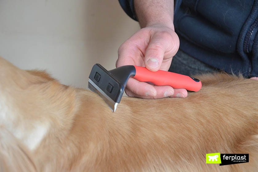 Toelettatore: stripping e trimming con le Spazzole per Cani adatte - LOVE  FERPLAST