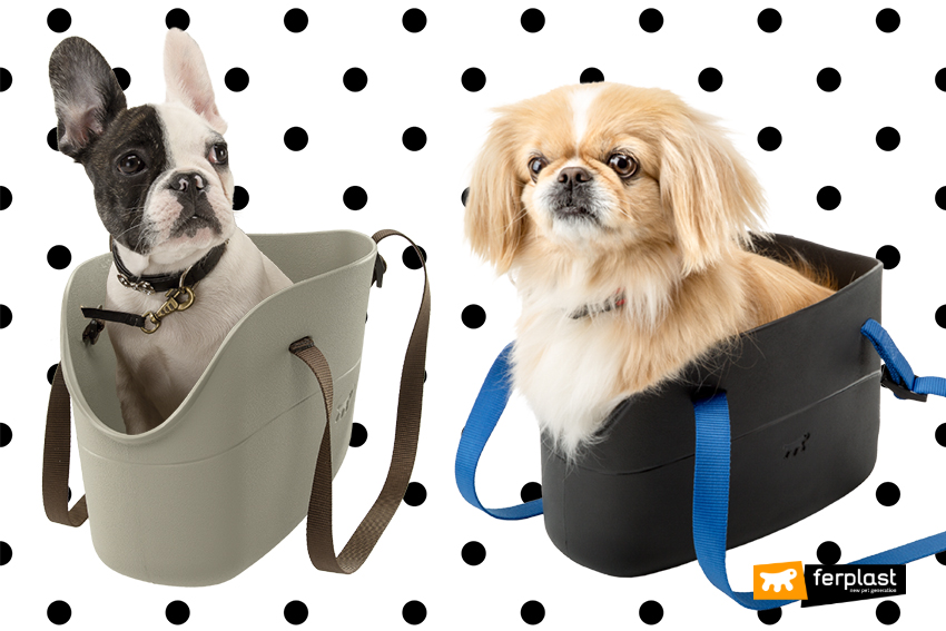 Borsa tappetino per cane, In nylon e felpa, Con Pochette