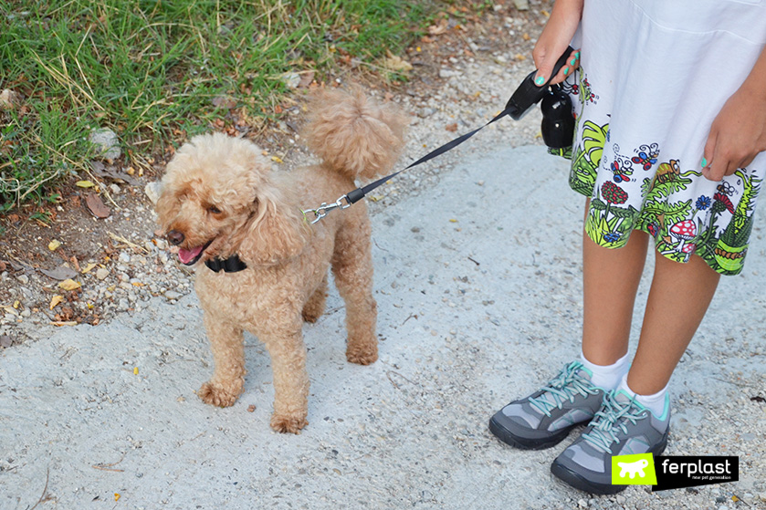 fare il bagnetto al cane? Come lavare il Cane a casa - LOVE FERPLAST