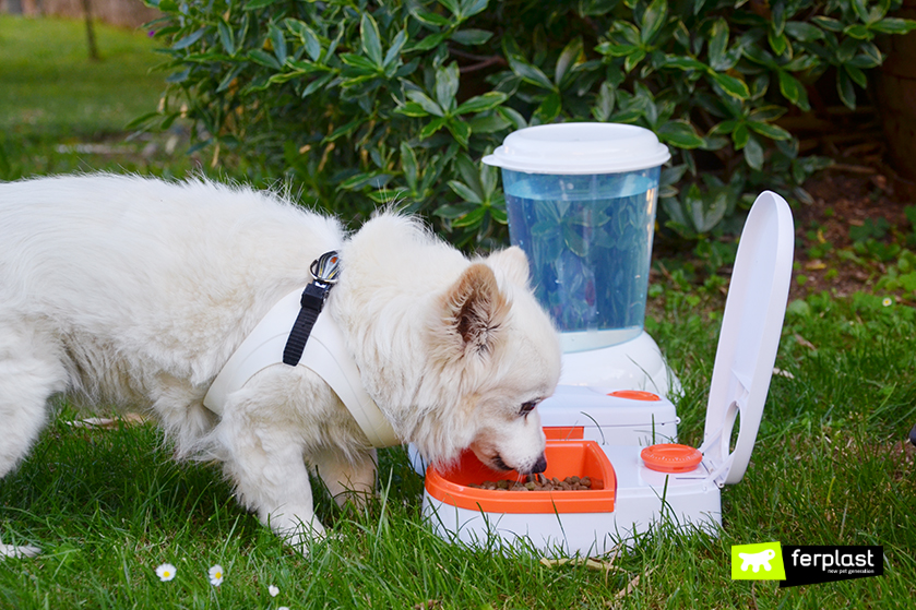 FERPLAST - Distributore Automatico Di Cibo Per Cani E Gatti Cometa