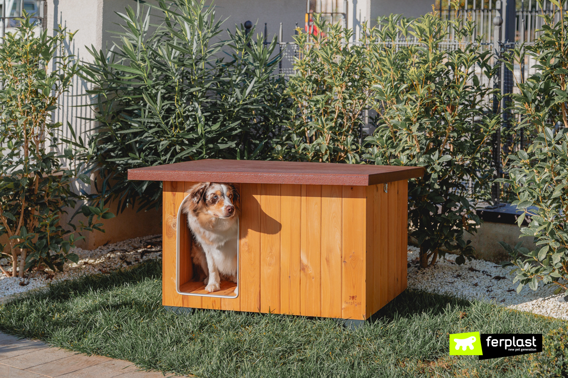 Dog in Baita, outdoor kennel in wood by Ferplast