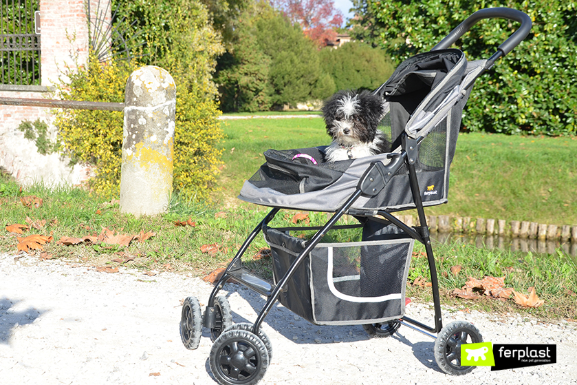 Passeggino per cani Globetrotter