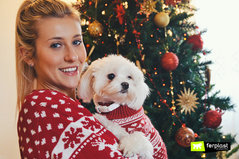 Next dog christmas on sale jumper