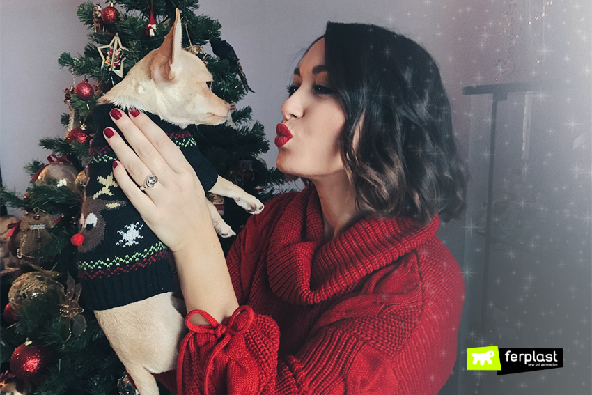 Decorazioni Natalizie Kitsch.Moda Di Natale Collezione Di Maglioncini Natalizi Per Cani Love Ferplast