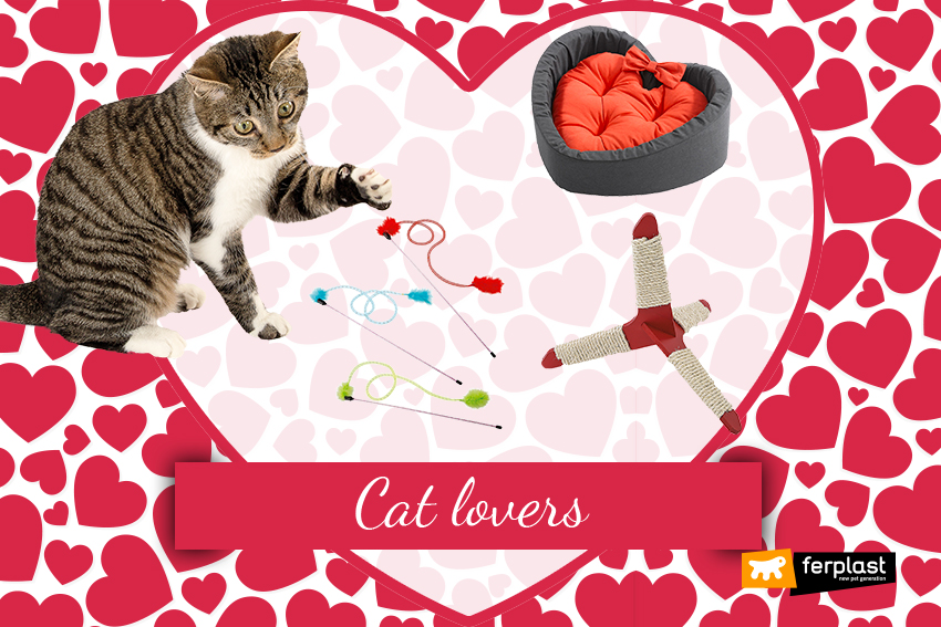 s.valenino-cat-lovers-idee-regalo-gatti