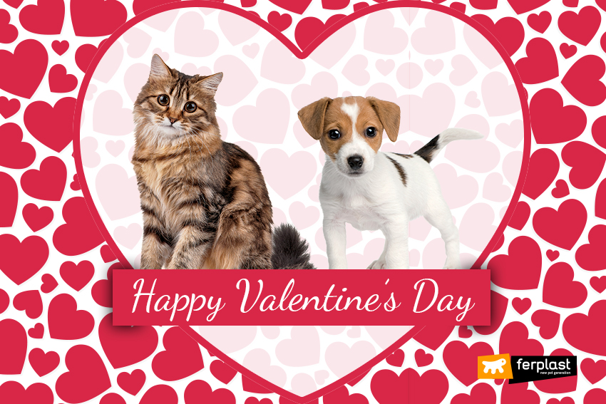 Valentines Day Cats And Dogs Love Ferplast