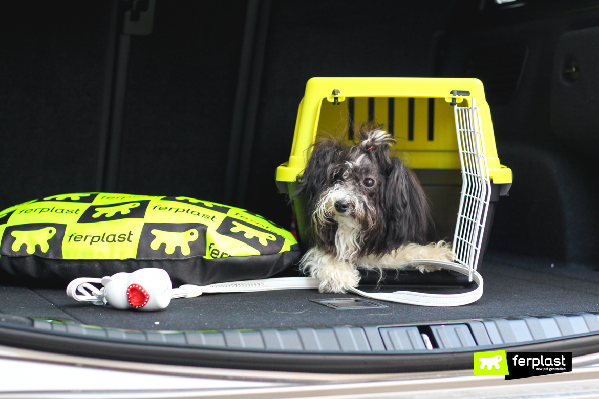 Divisorio auto per cane  Quelli che consiglia il Dogo