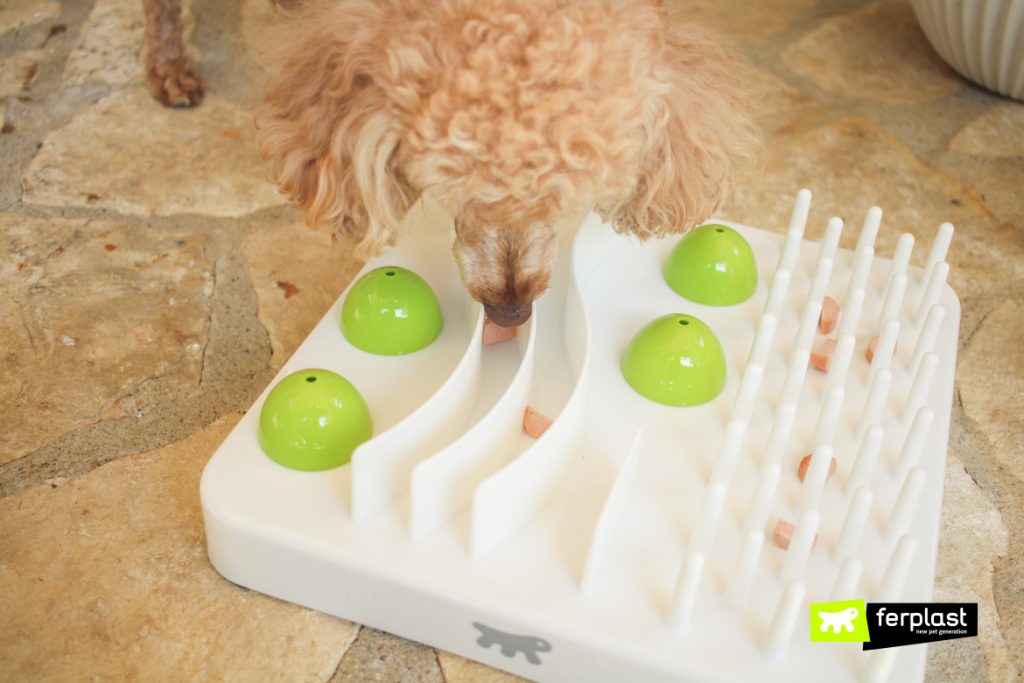 Interactive Games For Dogs