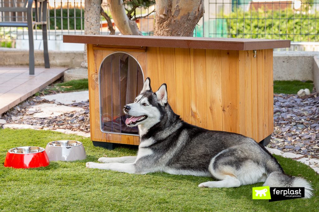 large dog houses for winter