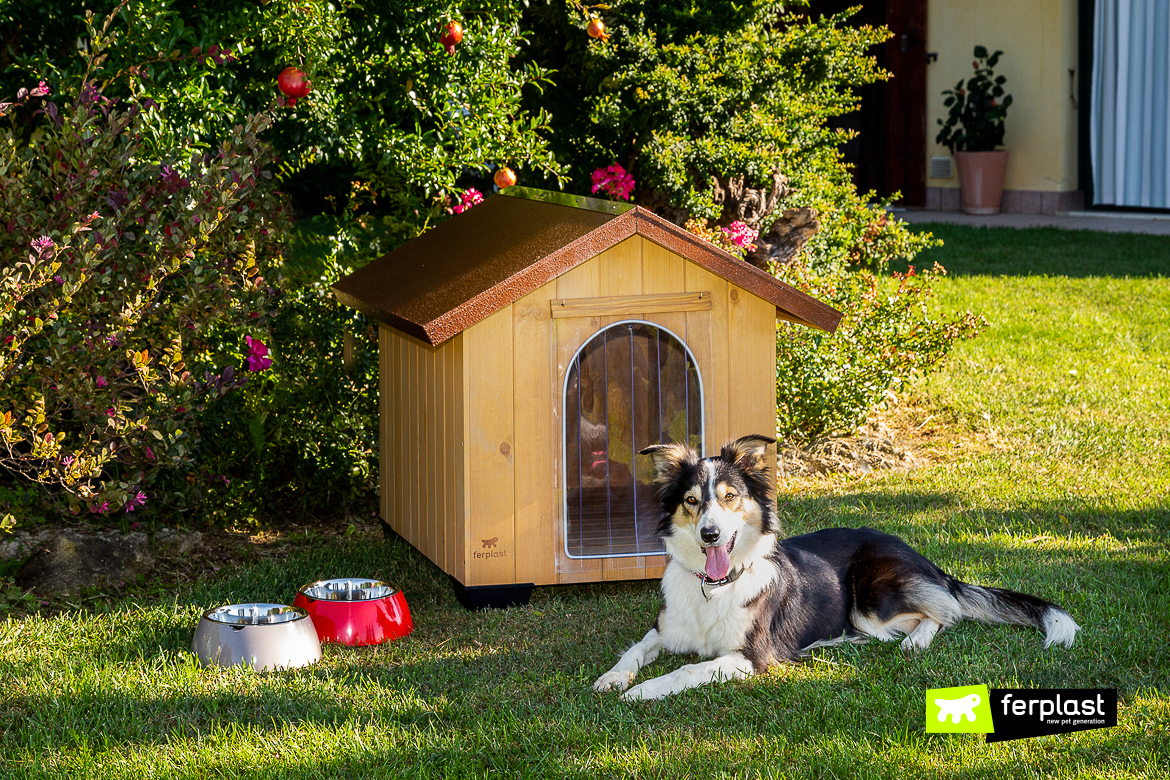 should a dog house have a door