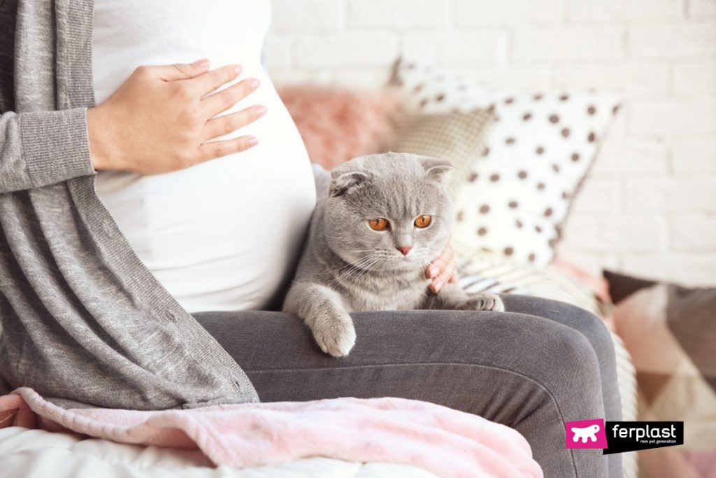 Pregnant Women and Cats What you Need to Know about Toxoplasmosis