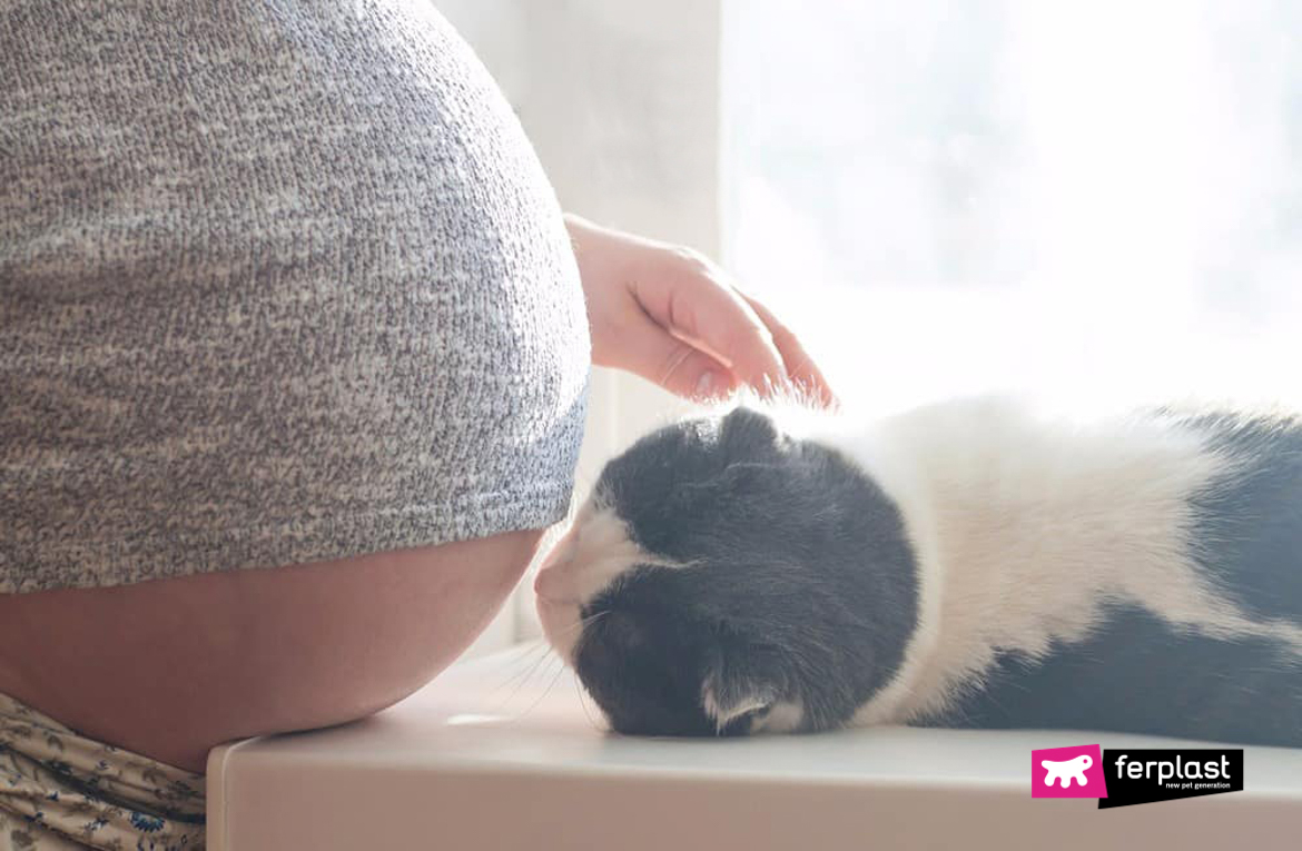 Почему беременным женщинам стоит избегать контакта с кошками - важные причины