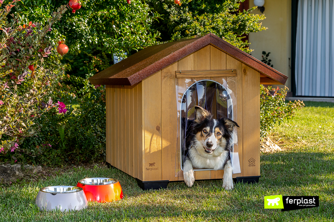 Dog Kennel For The Garden