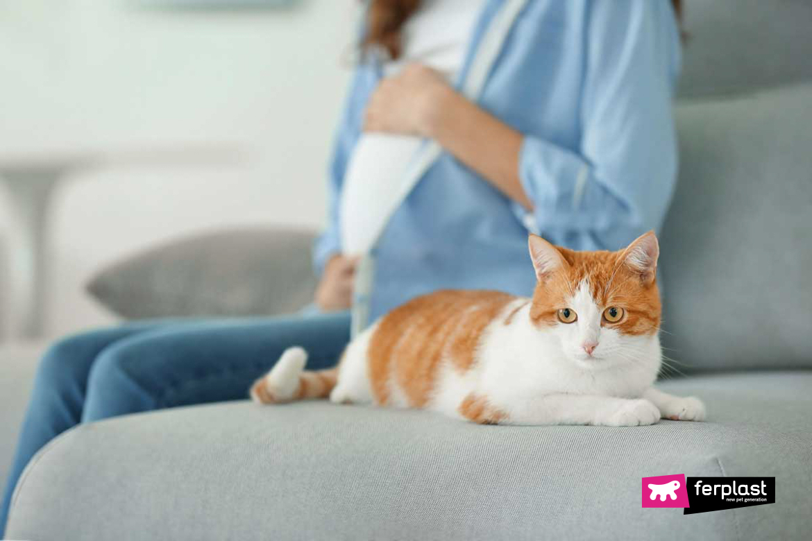 Pregnant women shop cat poop